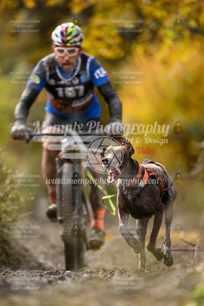 MompixPhotography_ICF_WC_2024_SA_Bike_-281 | PayLife