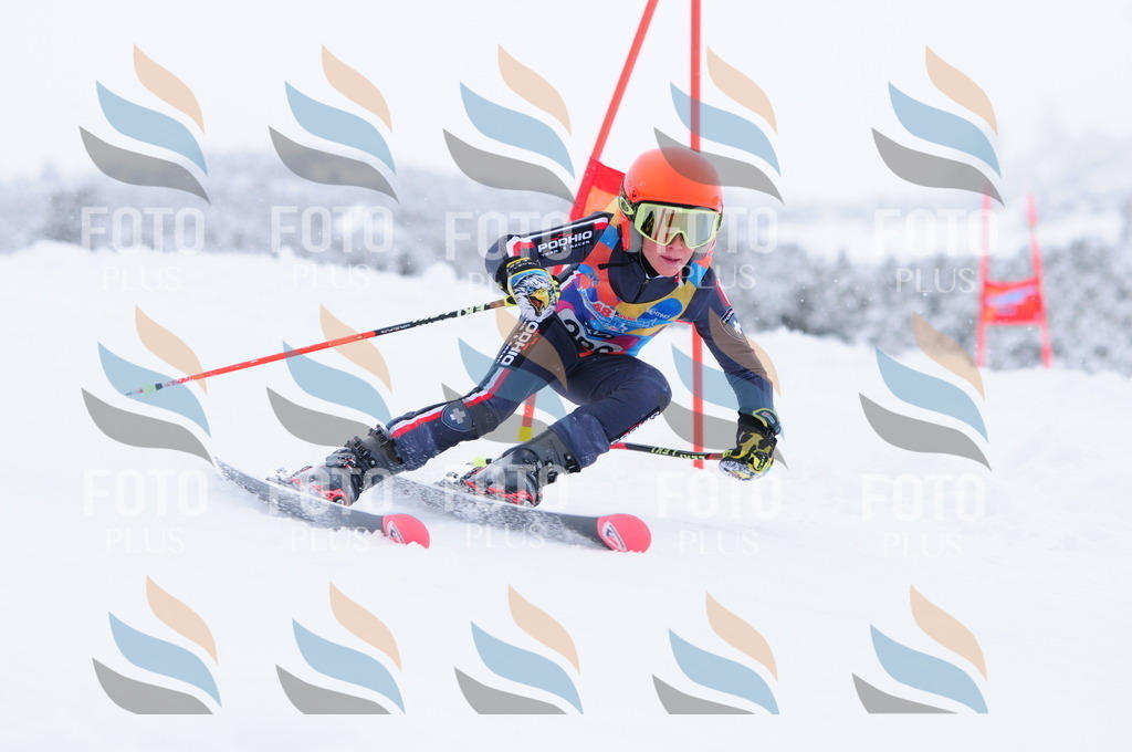 C2957 | holidayphoto