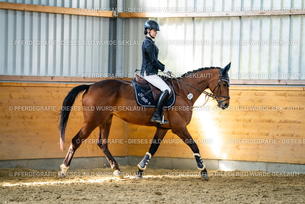 DSC01715 | Pferdegrafie