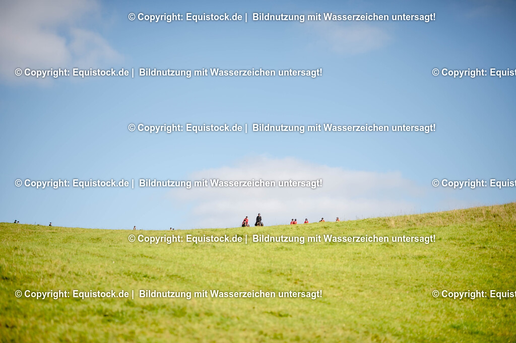 20251011_Jagd-Marbach_0535 | Foto: Thomas Hartig