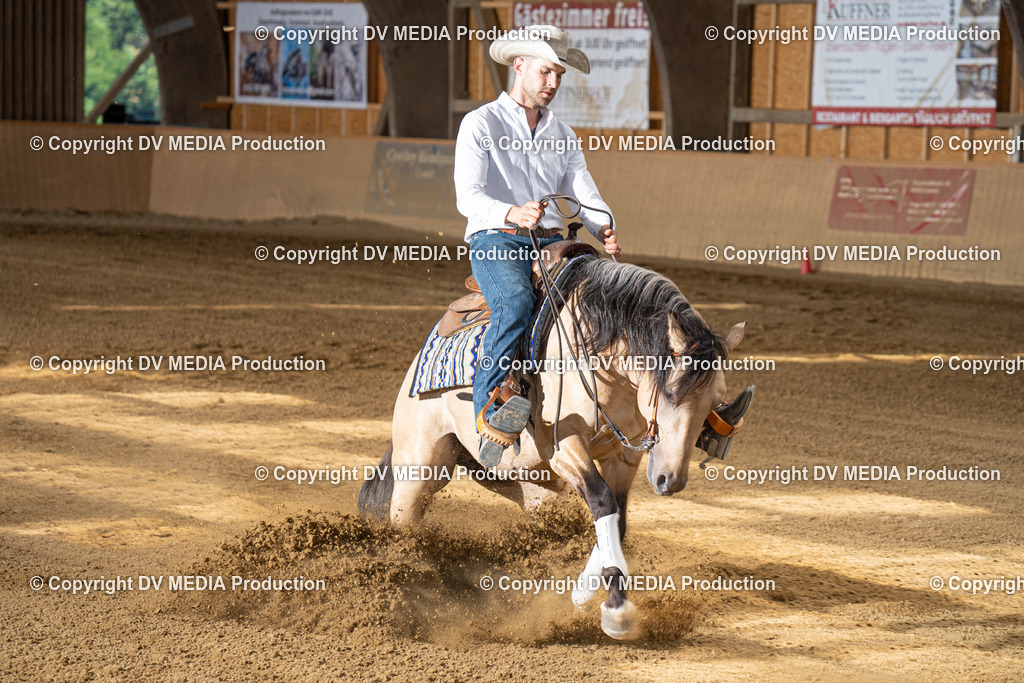 DSC00015 | dv-media-shop - Realisiert mit Pictrs.com