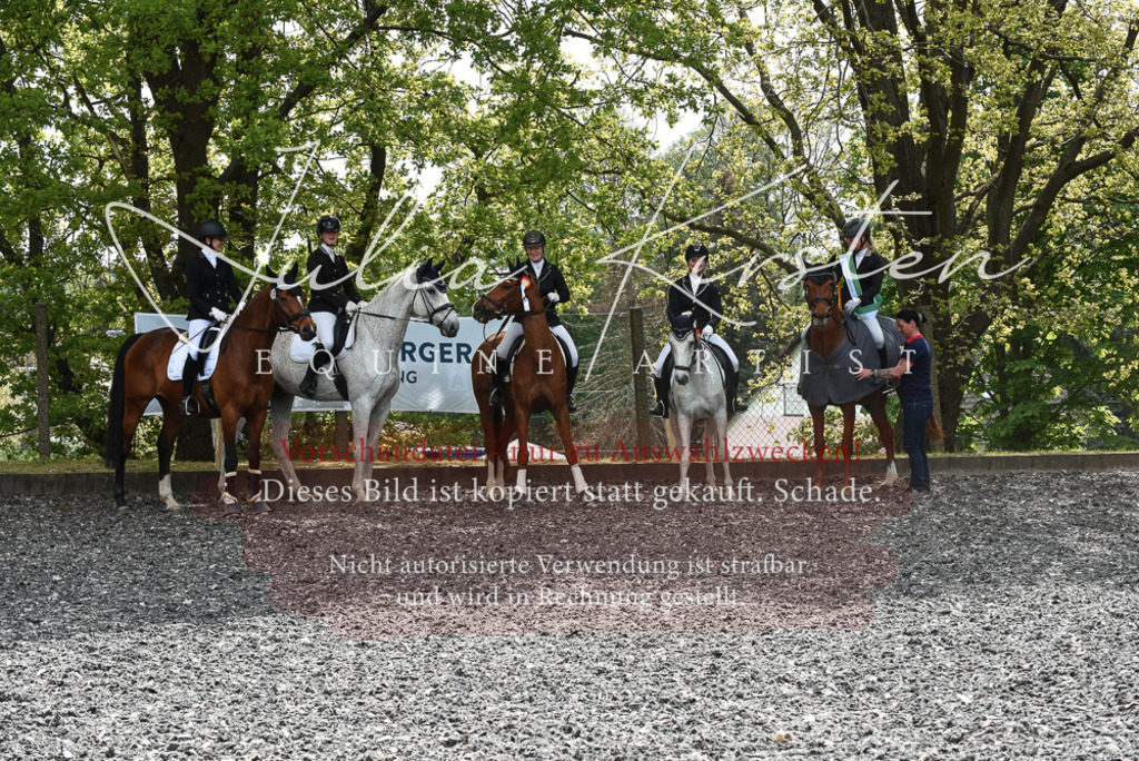 20230514_JK-Röhrsdorf-23-0102 | Pferde- und Turnierfotografie in Westsachsen. Pferdeportraits, Auftragszeichnungen und intuitive Kunst.