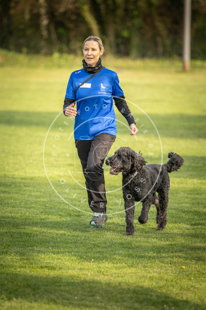 Pfotenfotografie_DV3A4795 | Hundefotografie, Tierfotograf, Pfotenfotografie, Fotoshooting Hund, Hunde Portrait, Hundesport, Hundeportraits, Heideshooting, Hunde, Sportfotograf, Hundefotograf, Turnierhundsport, THS,  - Realisiert mit Pictrs.com