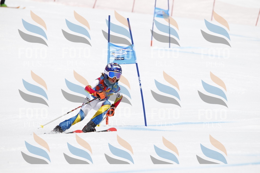 _U3G6649 | holidayphoto