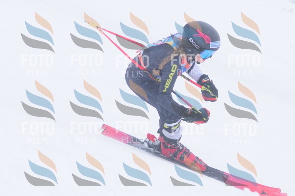 C1916 | holidayphoto