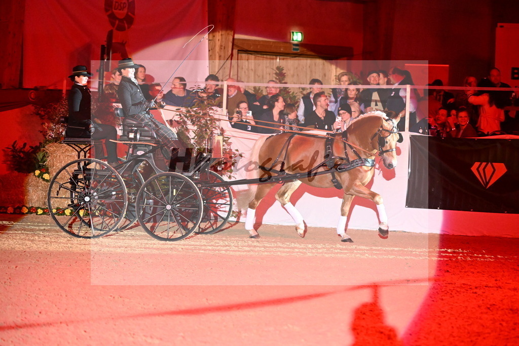 DSP_Avici_As_Karosser_2254543 | hf-fotografie - Realizzato con Pictrs.com