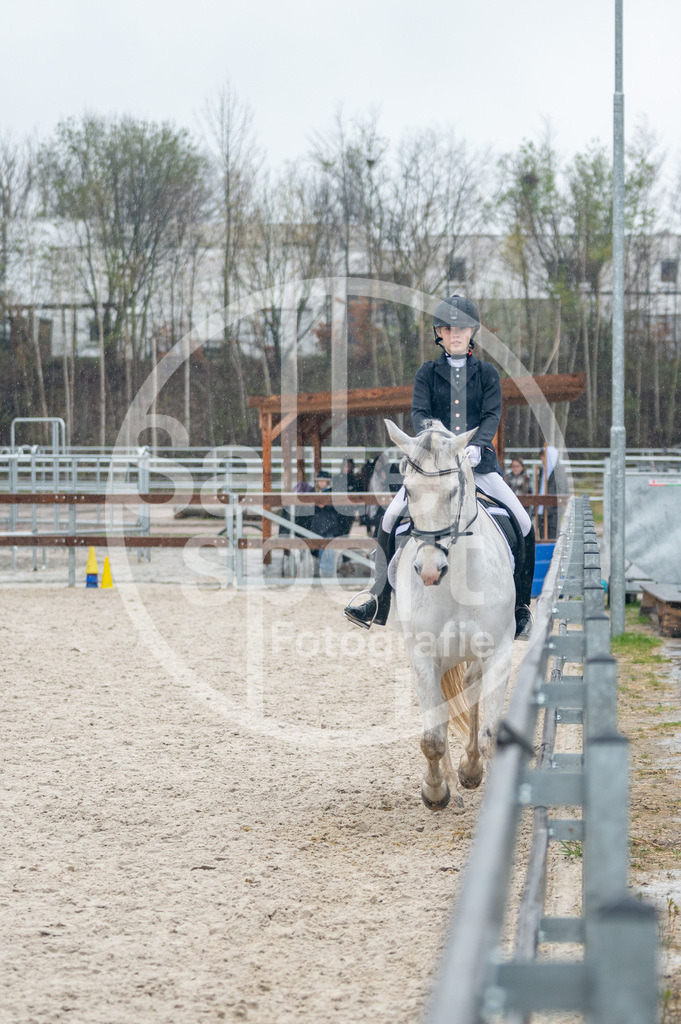 DSC_7293 | sattelsport - Realisiert mit Pictrs.com