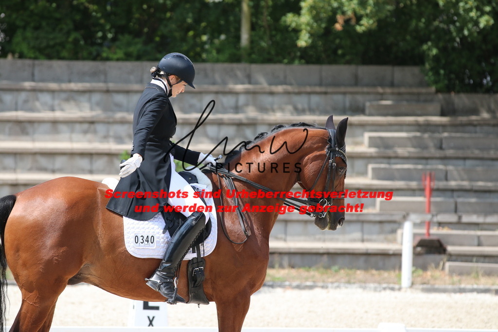 IMG_7559 | lmwpictures - Realisiert mit Pictrs.com