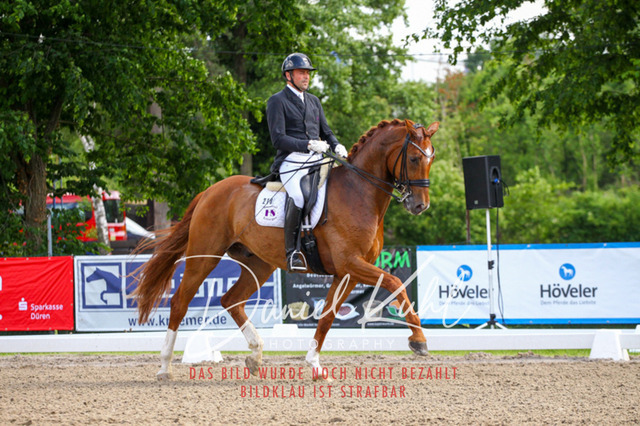 DKP41313 | Deine Turnierfotos vom Reitturnier online kaufen: Dressur, Springen & Siegerehrung. Professionelle Pferdefotografie aus dem Rheinland – als Download & Print.Alternative: Turnierfotograf für den Pferdesport: Finde deine Fotos von Dressur- und Springturnier