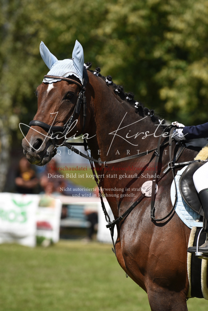 DSC_9955 | Pferde- und Turnierfotografie in Westsachsen. Pferdeportraits, Auftragszeichnungen und intuitive Kunst.