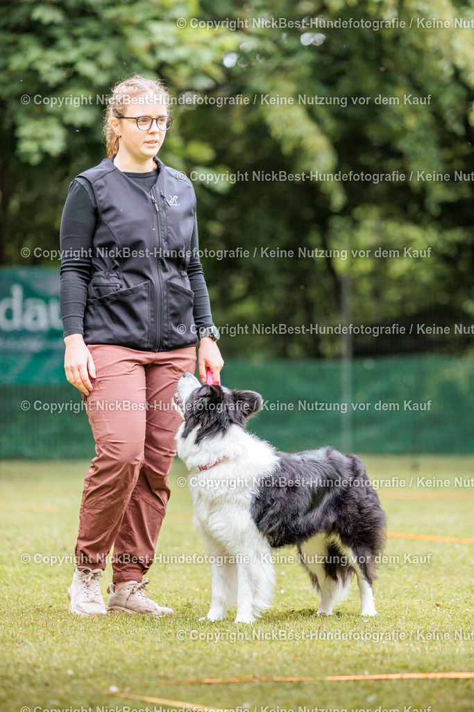 RO-Blumenthal-2026-Nickbest-Hundefotografie-2255 | Dein Hund! Dein Moment! Deine Erinnerungen! Hundefotografie in Bremen Blumenthal. Ich fange die besonderen Momente deines Vierbeiners ein – ob Indoor mit Blitzanlage oder in der freien Natur. Sicher dir dein Moment und dein Termin für eure Erinnerungen.