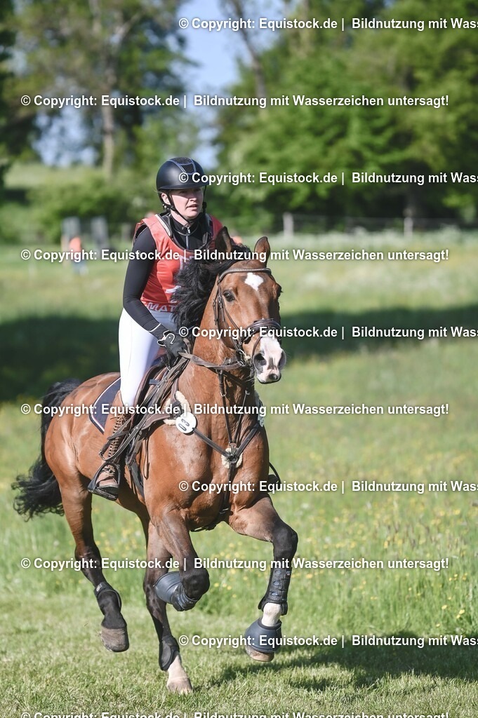 20250517_CCI2_Gelände_0434 | Foto: Thomas Hartig