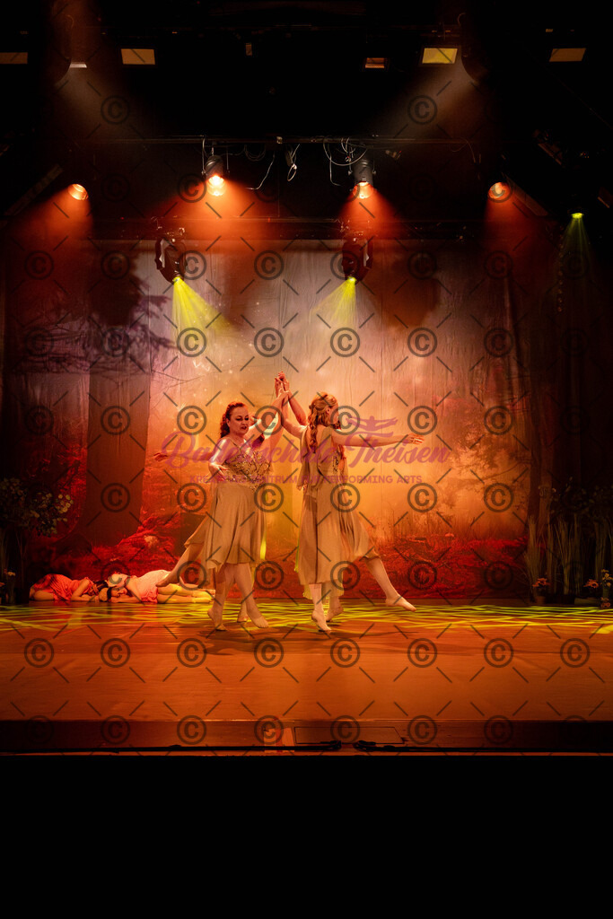 Ballettaufführung-538 | Bildershop Lem'n Entertainment - Realisiert mit Pictrs.com