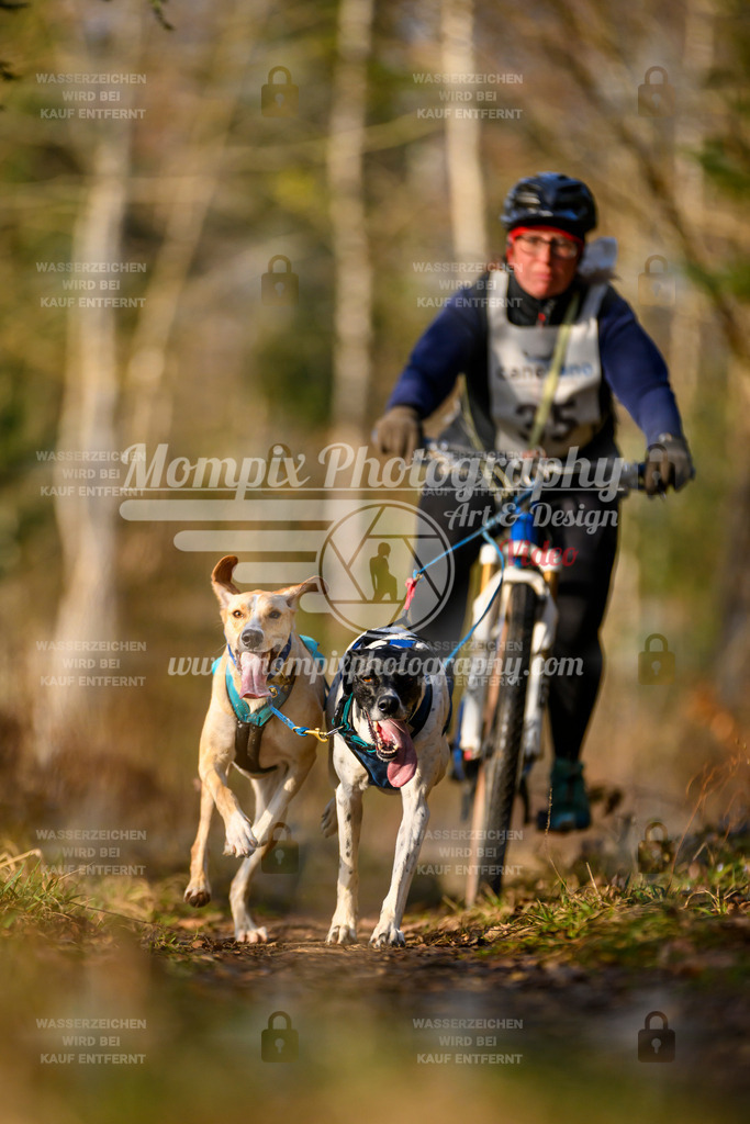 MompixPhotography_6ReiatRennen2026_SO_Bike-8 | PayLife