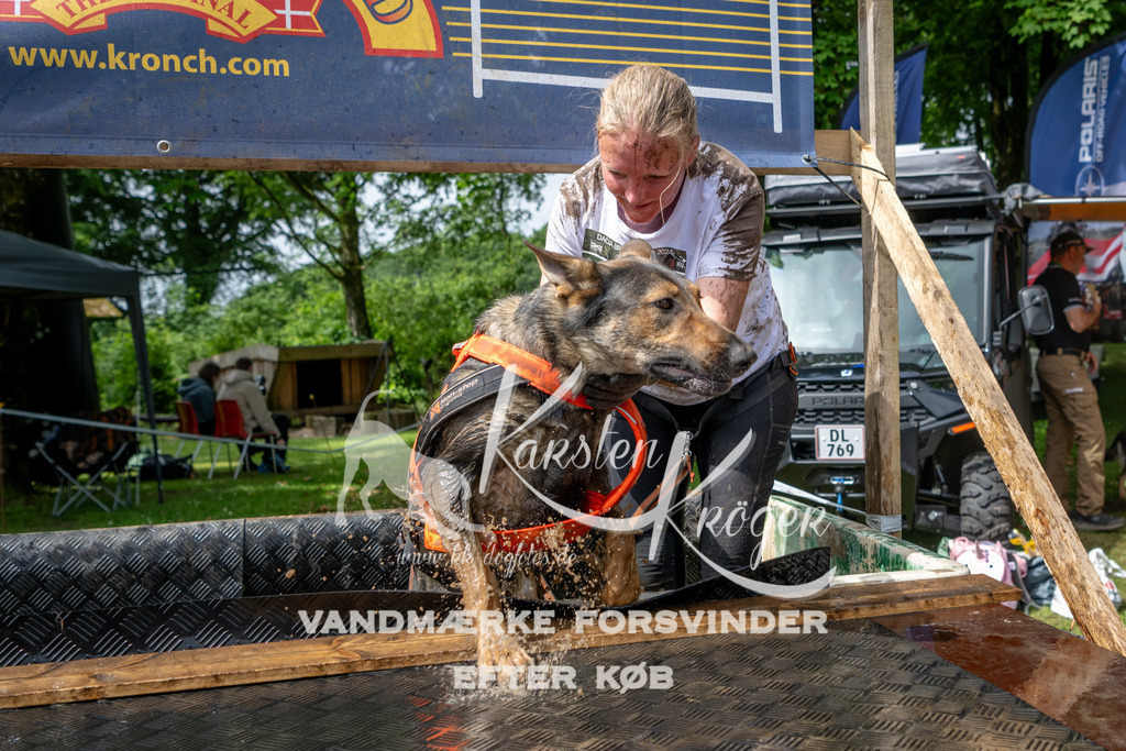 1037_ZZ91570 | kk-dogfotos