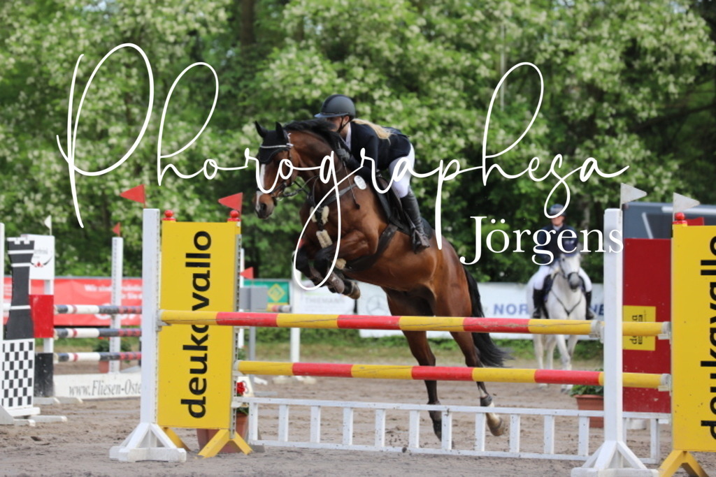 IMG_9091 | photographesa-joergens - Realisiert mit Pictrs.com