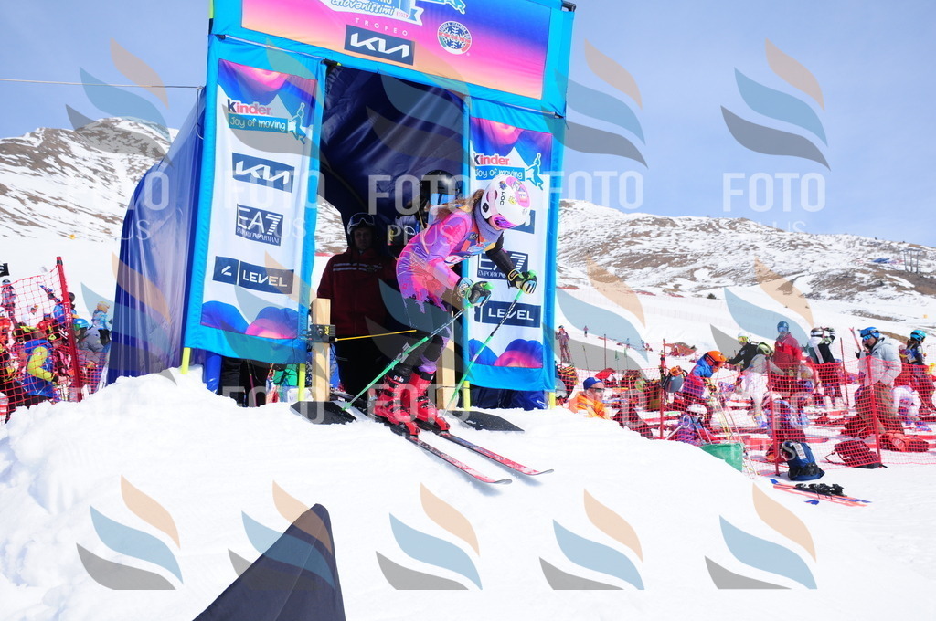 DSC_5331 | holidayphoto