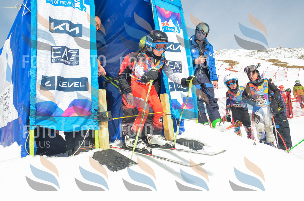 _ELE7402 | holidayphoto