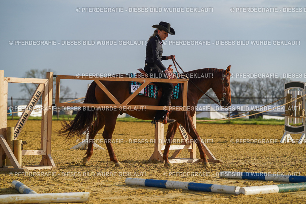 DSC00166 | Pferdegrafie