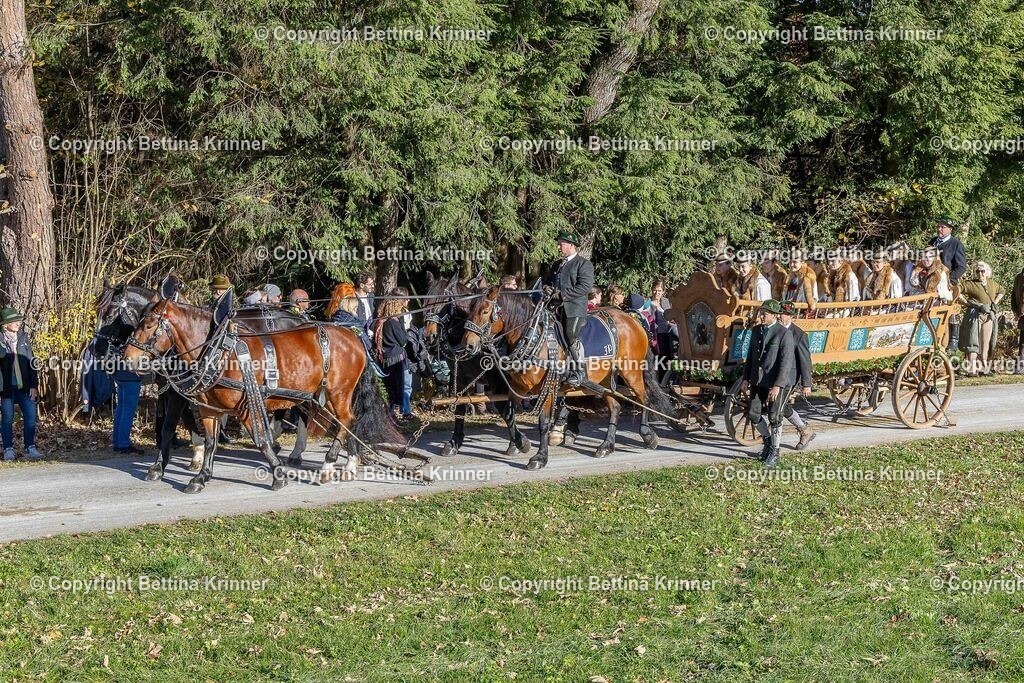 LBT25-816 | foto-bettina-krinner - Realisiert mit Pictrs.com
