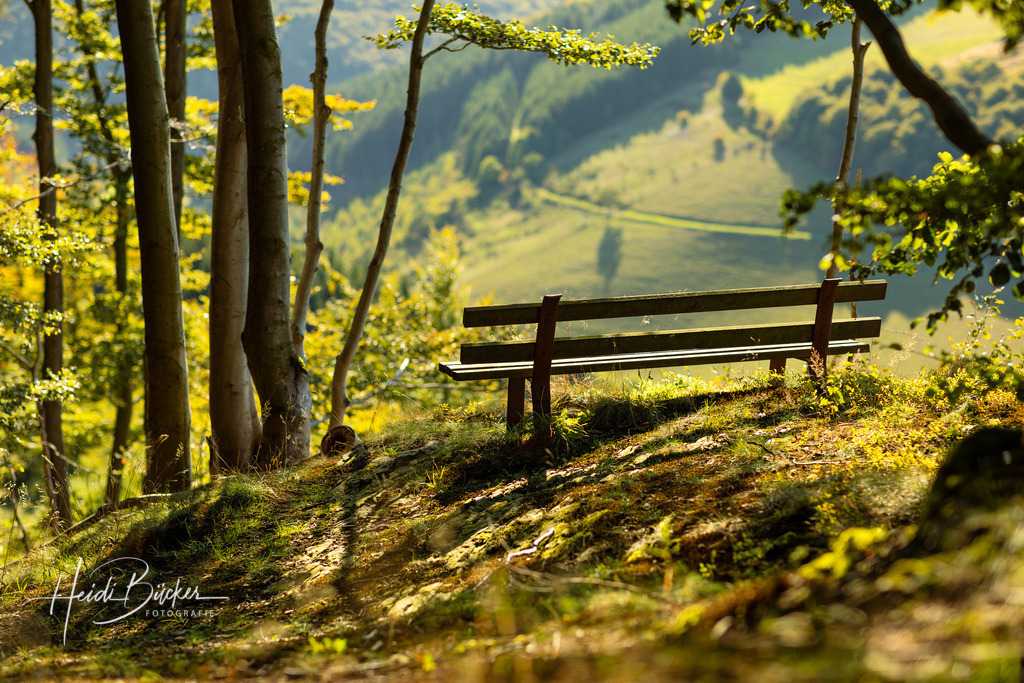 Bank mit Aussicht | Bank mit Aussicht ins Schmallenberger Sauerland - Realisiert mit Pictrs.com