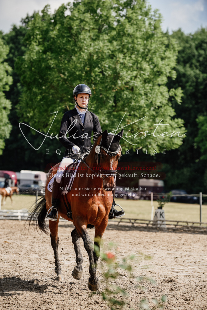 DSC_0471 | Pferde- und Turnierfotografie in Westsachsen. Pferdeportraits, Auftragszeichnungen und intuitive Kunst.