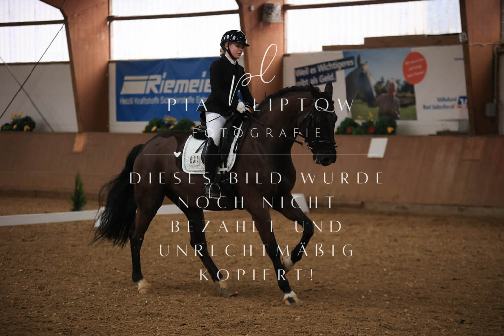 IMGT9050 | pl-fotografie