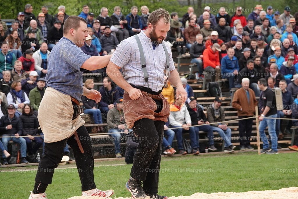 DSC03213 | Schwingen - Realisiert mit Pictrs.com