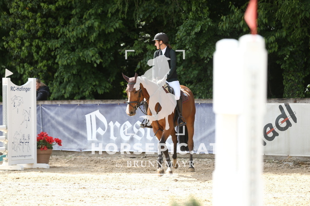 DL2Q4983 | Willkommen bei Brunnmayr - Design & Fotografie – Ihrem Spezialisten für Reitturniere und Pferdeveranstaltungen in Oberösterreich, Salzburg und Bayern! Seit über 17 Jahren sind wir leidenschaftlich dabei.