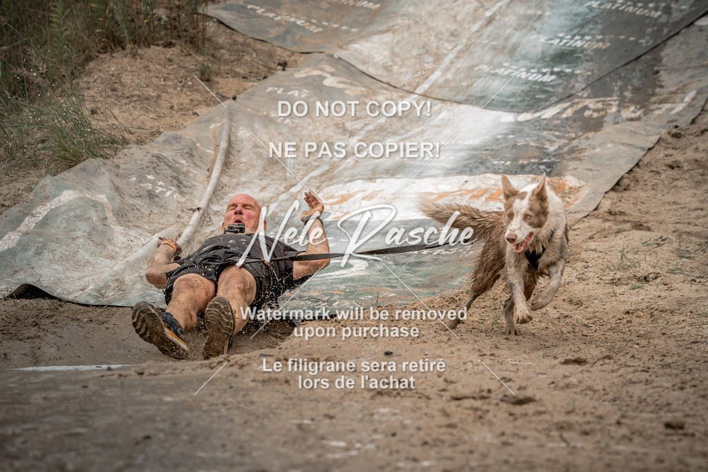 nelerasche_sa1300-1345_210 | nelerasche