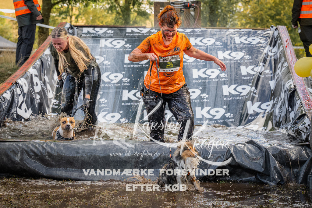 1534_ZZ90019 | kk-dogfotos