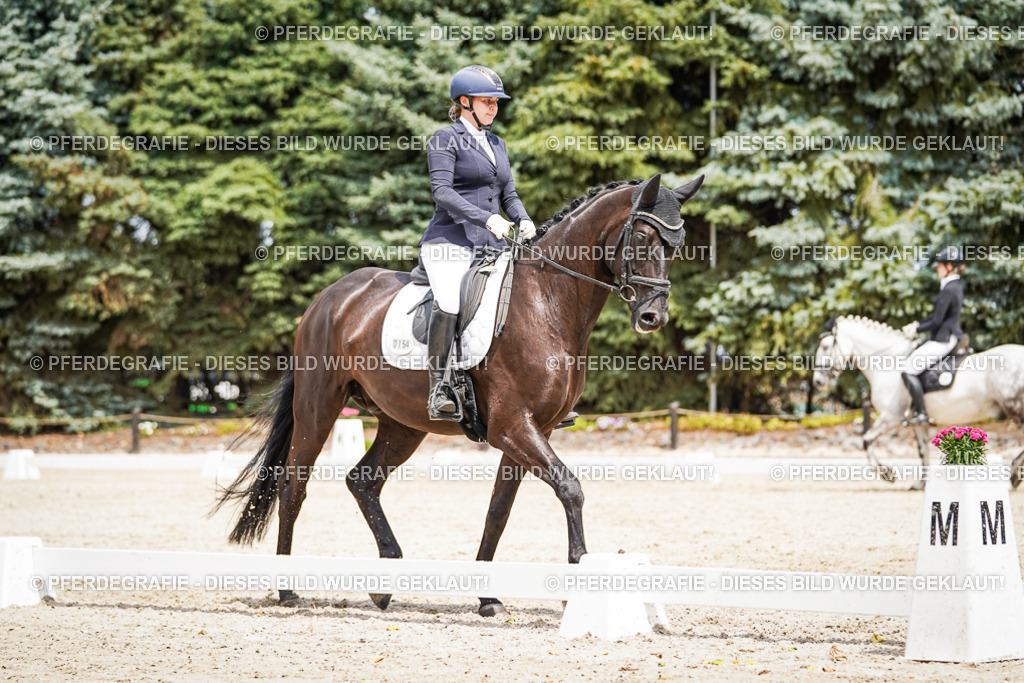 DSC03554 | Pferdegrafie