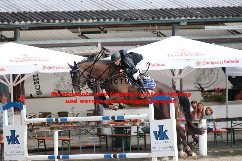 IMG_8681 | lmwpictures - Realisiert mit Pictrs.com