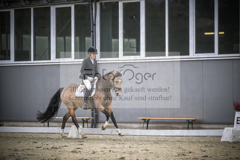 DOS_2405 | Entdecke hochwertige Reitturnierfotos von Foto Oger. Professionell, emotional und authentisch – jetzt Lieblingsmomente im Shop bestellen.Deutschlandweite Turnierfotografie. - Realisiert mit Pictrs.com