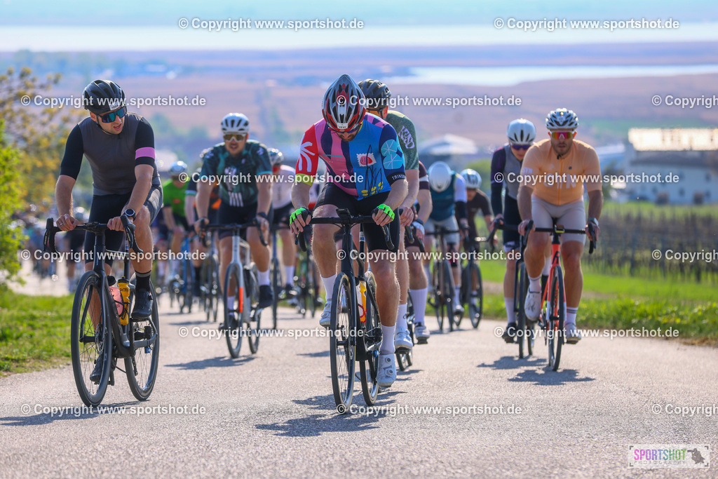 TRA_0140 | Neusiedlersee Radmarathon 2026@sportshot_your_pictrs #yourpictures#roadtowm2029 #nrm #neusiedlerseeradmarathon #neusiedlersee #neusiedlerseetourismus #burgenland #mörbisch #nrm26 #burgenlandtourismus #voglundco #poweredbyburgenlandtourismus #radsport #rad #marathon #ucigranfondo #visitburgenland #ucigranfondoworldseries