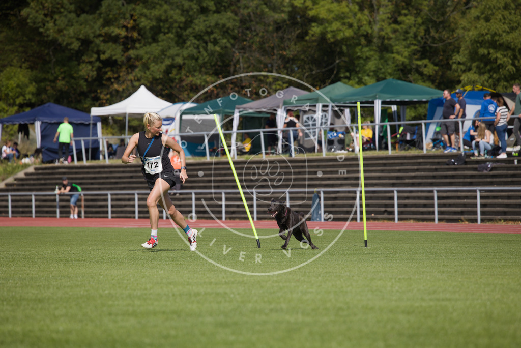 0L8A3311 | Hundefotografie, Tierfotograf, Pfotenfotografie, Fotoshooting Hund, Hunde Portrait, Hundesport, Hundeportraits, Heideshooting, Hunde, Sportfotograf, Hundefotograf, Turnierhundsport, THS,  - Realisiert mit Pictrs.com