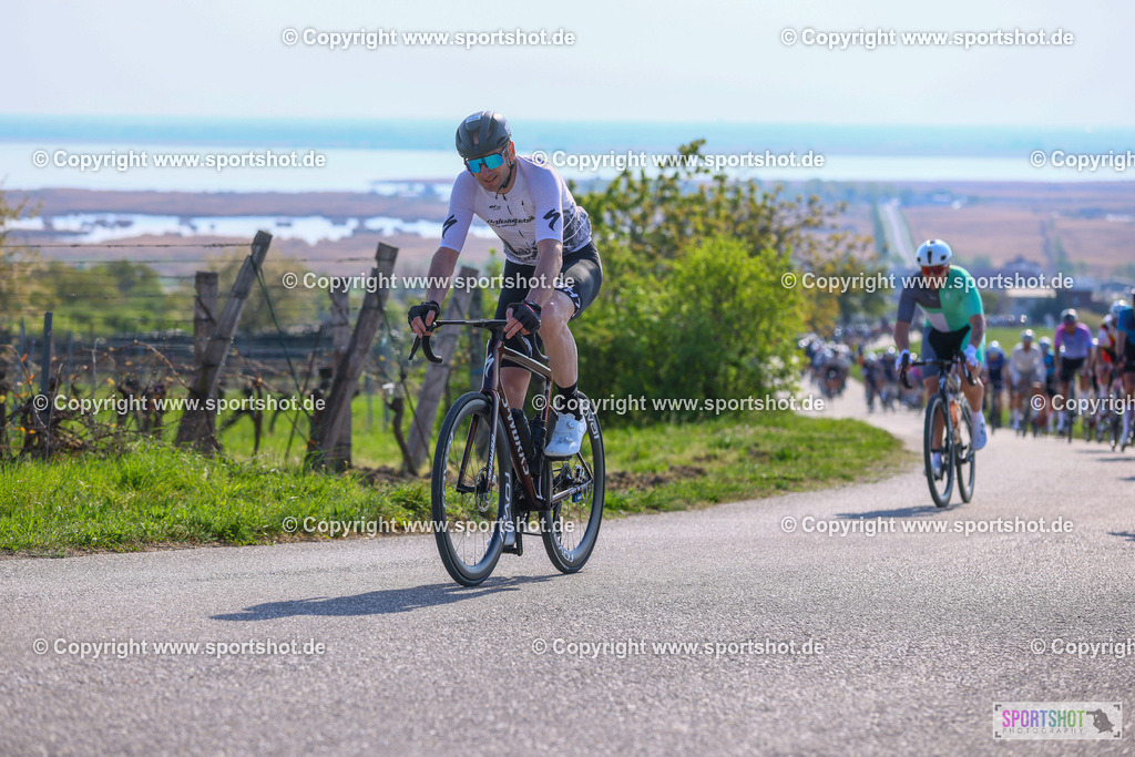 TRA_0431 | Neusiedlersee Radmarathon 2026@sportshot_your_pictrs #yourpictures#roadtowm2029 #nrm #neusiedlerseeradmarathon #neusiedlersee #neusiedlerseetourismus #burgenland #mörbisch #nrm26 #burgenlandtourismus #voglundco #poweredbyburgenlandtourismus #radsport #rad #marathon #ucigranfondo #visitburgenland #ucigranfondoworldseries
