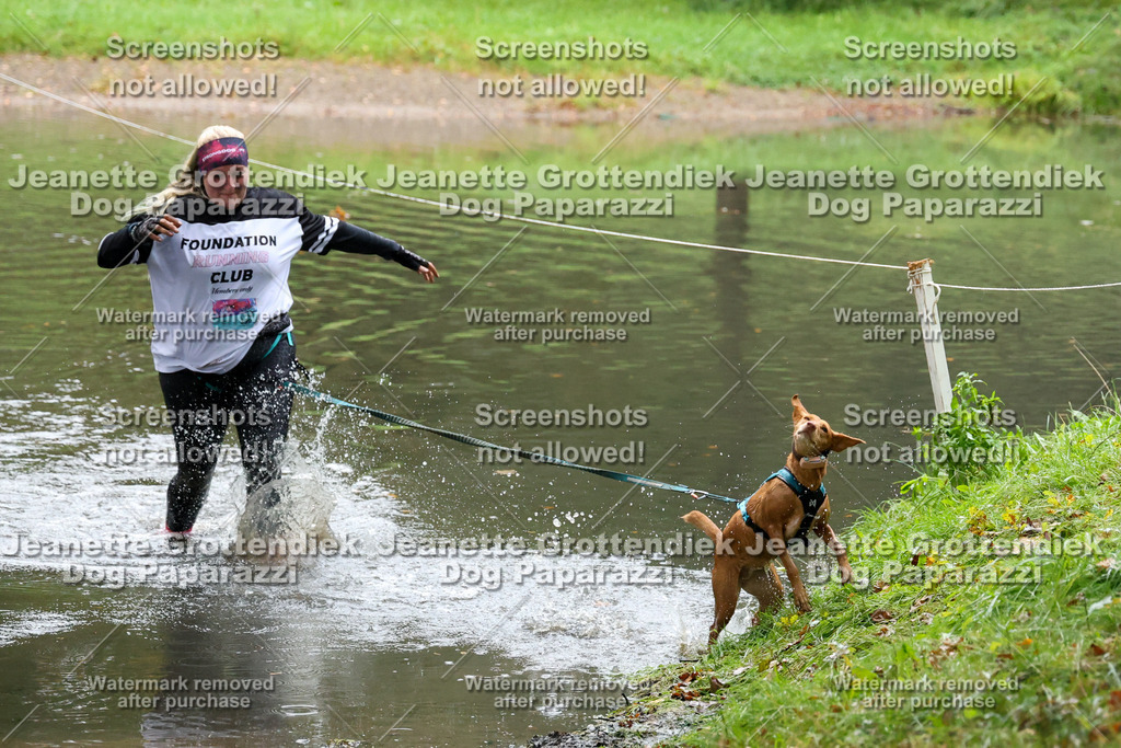Dog Paparazzi -  SD1026-8395 | Dog Paparazzi Jeanette Grottendiek Fotografie & Videografie - Realisiert mit Pictrs.com