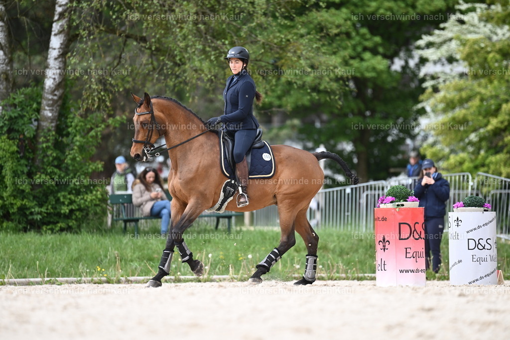 PI26_ST_Sara_Landvogt226_3185.JPG | working equitationturnier fotograf videograf stoibphotography marixx film working equitation deutschland reitsport turnierfotografie eventfotografie equestrian events