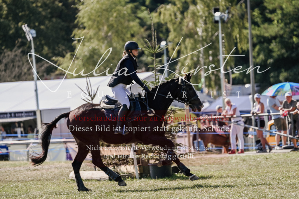 DSC_3237 | Pferde- und Turnierfotografie in Westsachsen. Pferdeportraits, Auftragszeichnungen und intuitive Kunst.