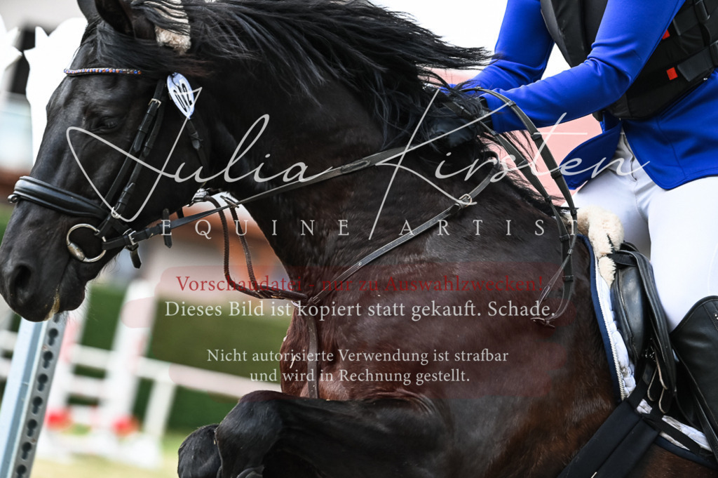 DSC_8977 | Pferde- und Turnierfotografie in Westsachsen. Pferdeportraits, Auftragszeichnungen und intuitive Kunst.