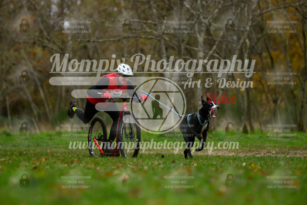 MompixPhotography_Bischwiller24_SA_DS1-11 | PayLife