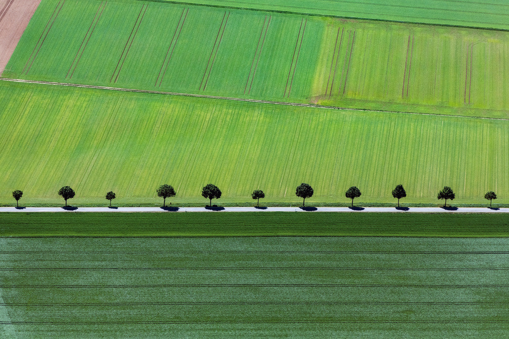dr__dsc9646.jpg | APPENHEIM 08.05.2018 Baumreihe an einer Landstraße an einem Feldrand in Appenheim im Bundesland Rheinland-Pfalz, Deutschland. // Row of trees on a country road on a field edge in Appenheim in the state Rhineland-Palatinate, Germany. Foto: Daniel Reiter