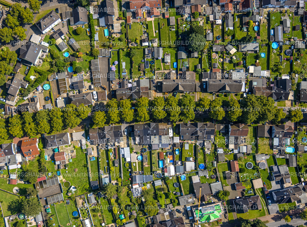 Gladbeck240806396 | Luftbild, Wohngebiet und Wohnsiedlung Krugstraße mit Baumallee Lindenbäumen, Gärten mit Swimmingpool, Zweckel, Gladbeck, Ruhrgebiet, Nordrhein-Westfalen, Deutschland