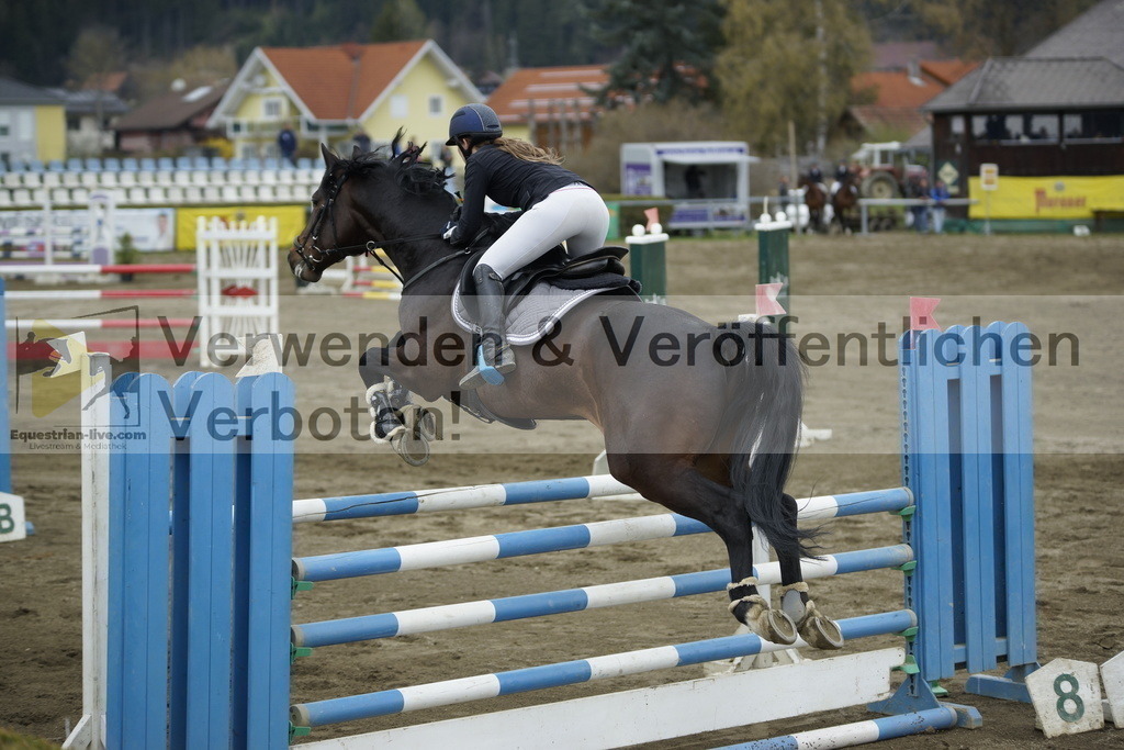 _DSC7387 | equestrian-live-com