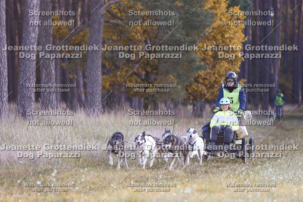 Dog Paparazzi - Elsholz 25 -25 | Dog Paparazzi Jeanette Grottendiek Fotografie & Videografie - Realisiert mit Pictrs.com