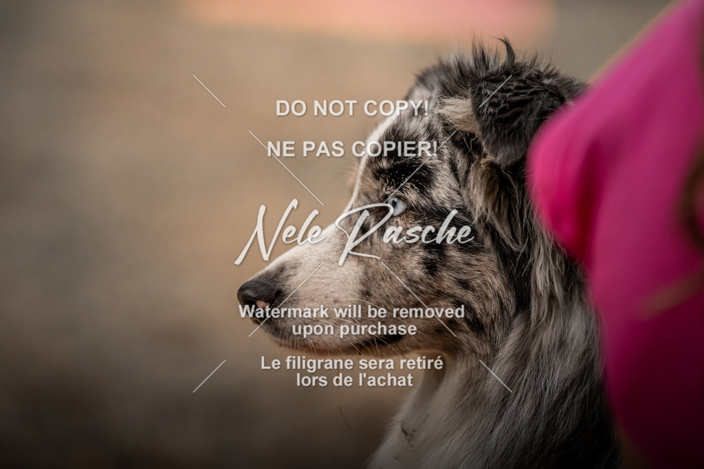 nelerasche_slaw24Fr1_323 | nelerasche