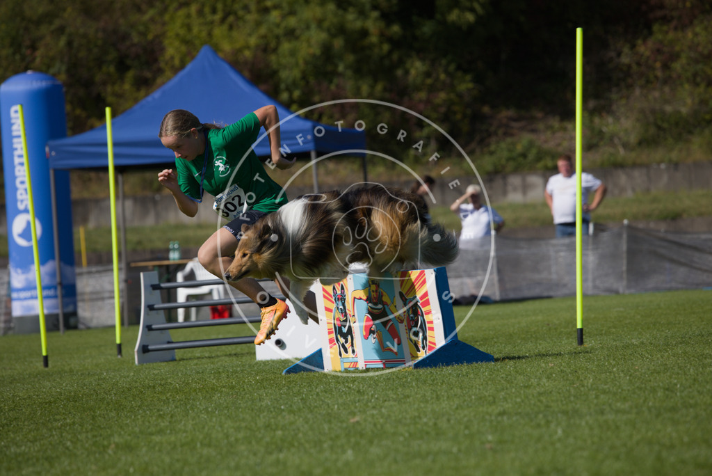 0L8A7702 | Hundefotografie, Tierfotograf, Pfotenfotografie, Fotoshooting Hund, Hunde Portrait, Hundesport, Hundeportraits, Heideshooting, Hunde, Sportfotograf, Hundefotograf, Turnierhundsport, THS,  - Realisiert mit Pictrs.com