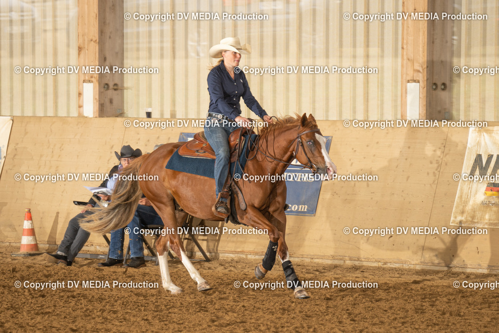 LAU00591 | dv-media-shop - Realisiert mit Pictrs.com