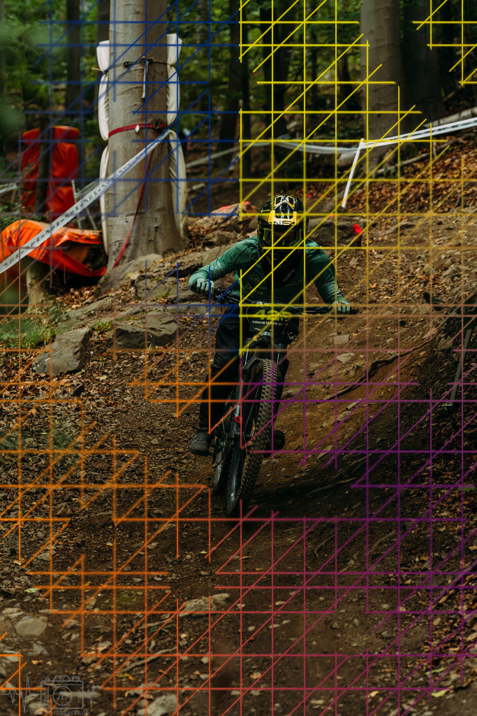 PAE-1541 | Einzigartige Fotokunst für dein Zuhause: Entdecke hochwertige Wandbilder, edle Prints und emotionale Motive von Wildlife, Natur und Landschaften - Realisiert mit Pictrs.com